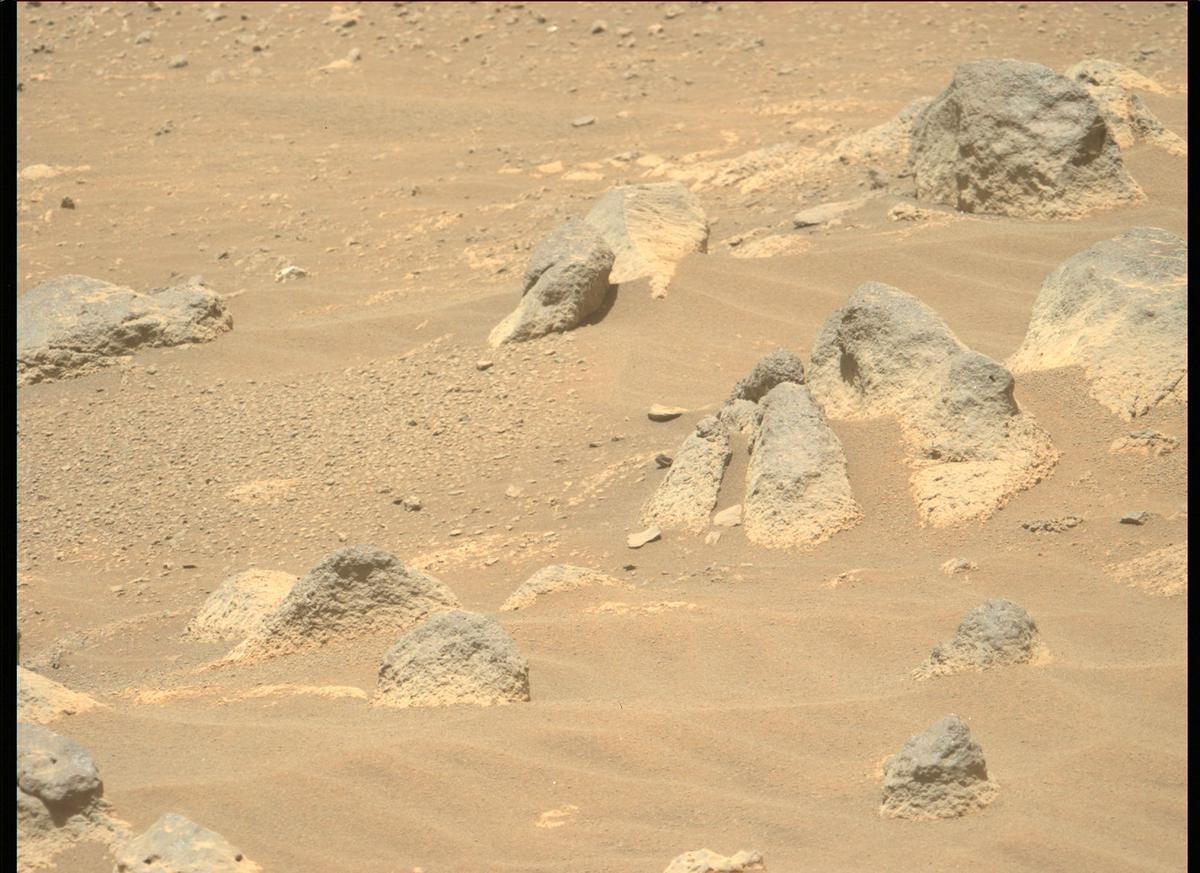 This image was taken by MCZ_LEFT onboard NASA's Mars rover Perseverance on Sol 102