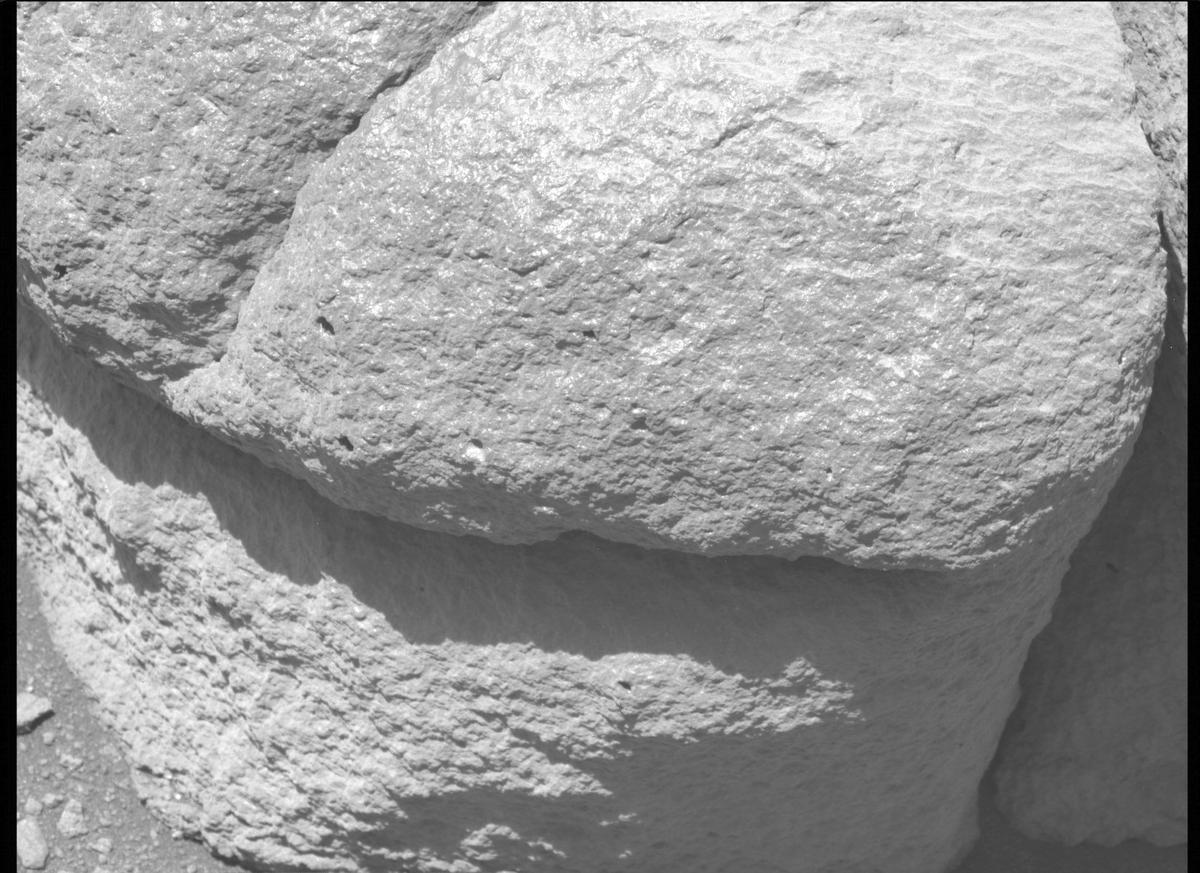 This image was taken by MCZ_LEFT onboard NASA's Mars rover Perseverance on Sol 102