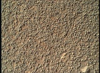 View image taken on Mars, Mars Perseverance Sol 106: WATSON Camera 