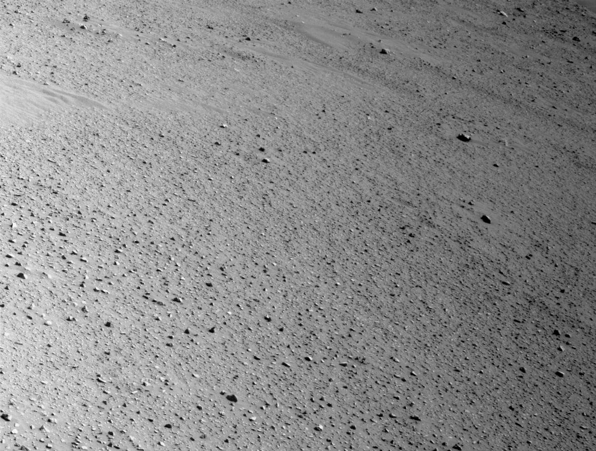 This image was taken by NAVCAM_LEFT onboard NASA's Mars rover Perseverance on Sol 110