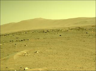 View image taken on Mars, Mars Perseverance Sol 110: Right Navigation Camera (Navcam)