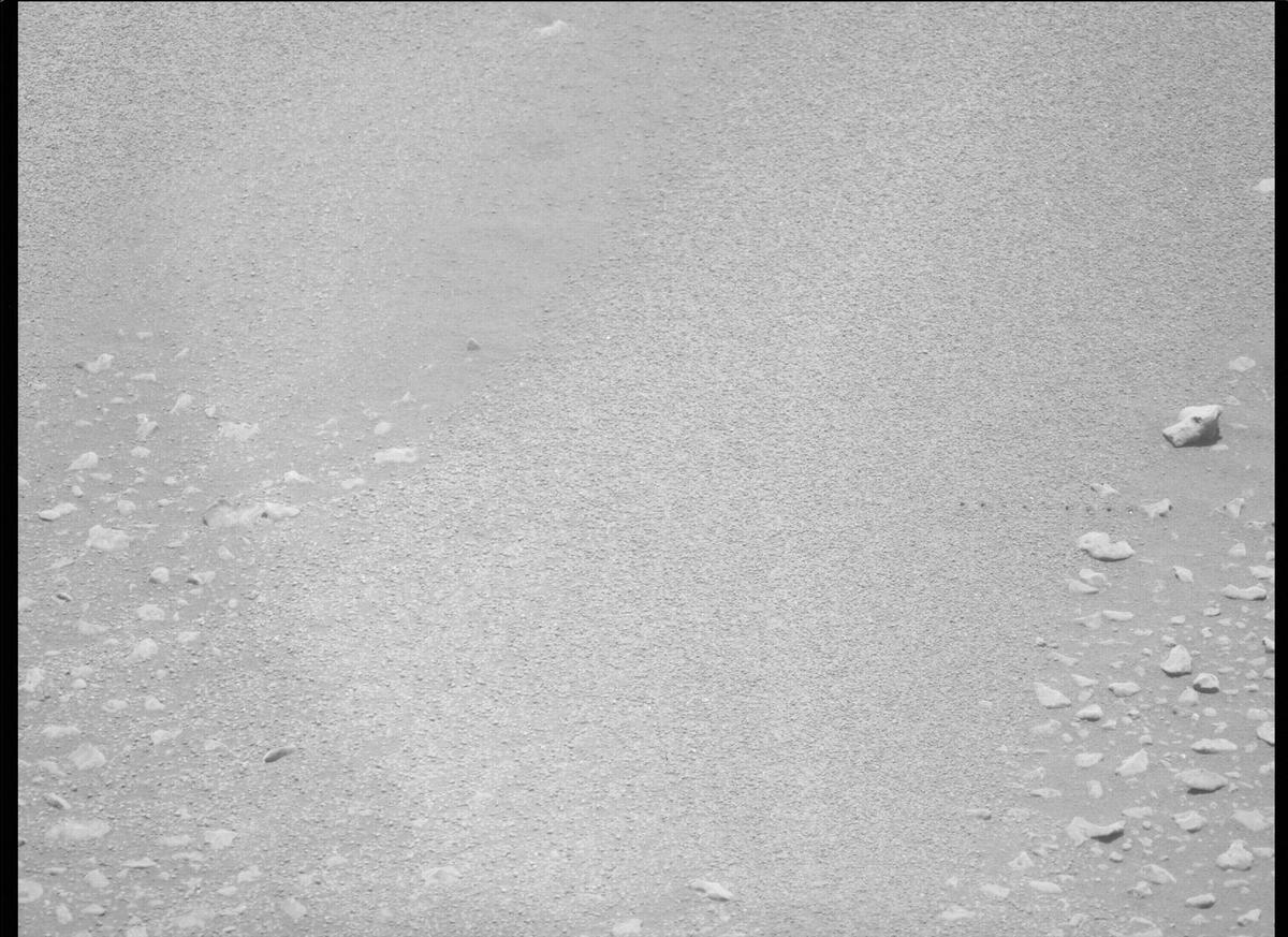 This image was taken by MCZ_LEFT onboard NASA's Mars rover Perseverance on Sol 110