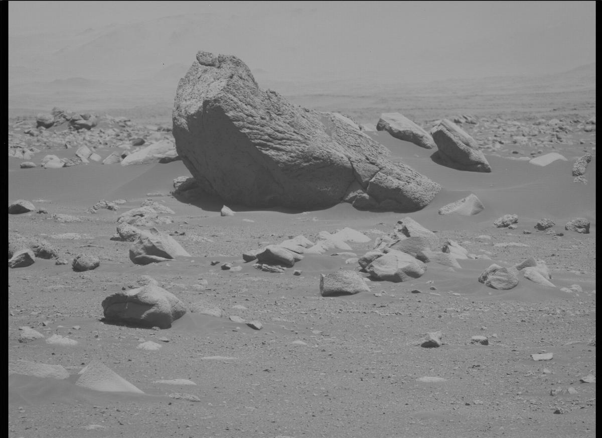 This image was taken by MCZ_LEFT onboard NASA's Mars rover Perseverance on Sol 110