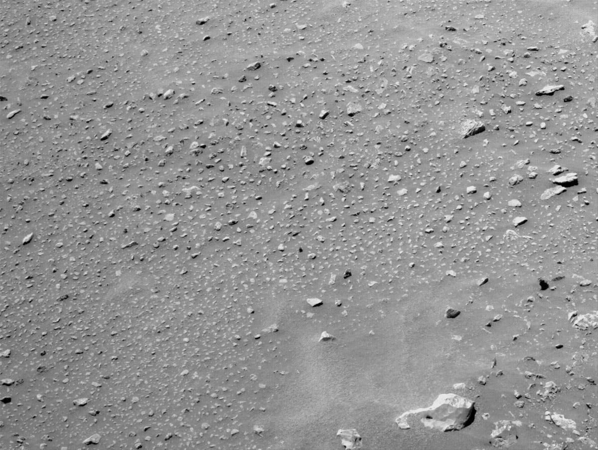 This image was taken by NAVCAM_LEFT onboard NASA's Mars rover Perseverance on Sol 111