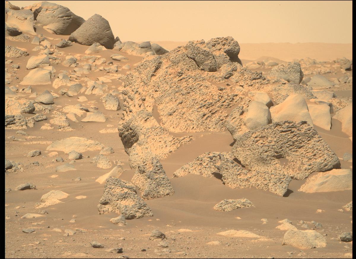 Images From The Mars Perseverance Rover Nasa Mars