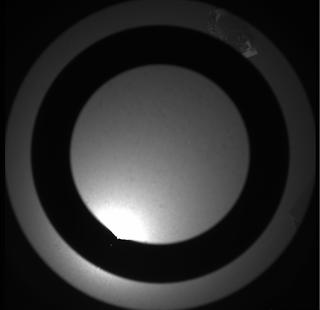 View image taken on Mars, Mars Perseverance Sol 113: SkyCam Camera 
