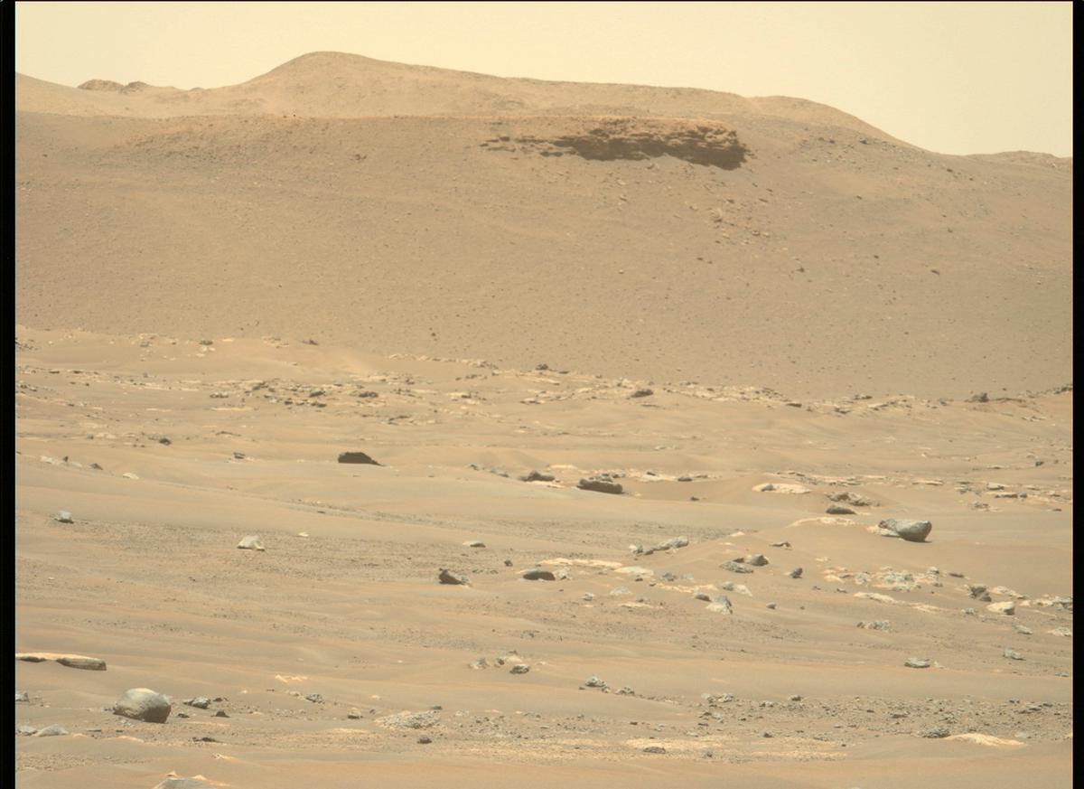This image was taken by MCZ_LEFT onboard NASA's Mars rover Perseverance on Sol 113