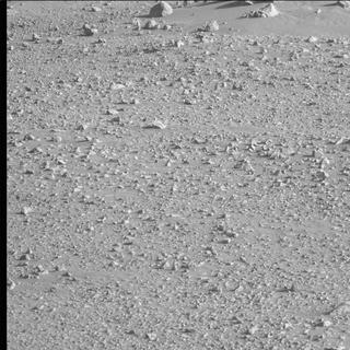 View image taken on Mars, Mars Perseverance Sol 113: Left Mastcam-Z Camera
