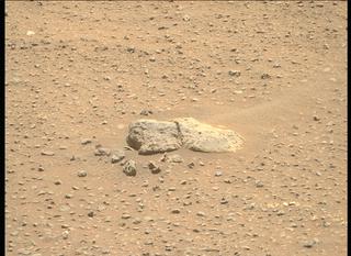 View image taken on Mars, Mars Perseverance Sol 113: Right Mastcam-Z Camera