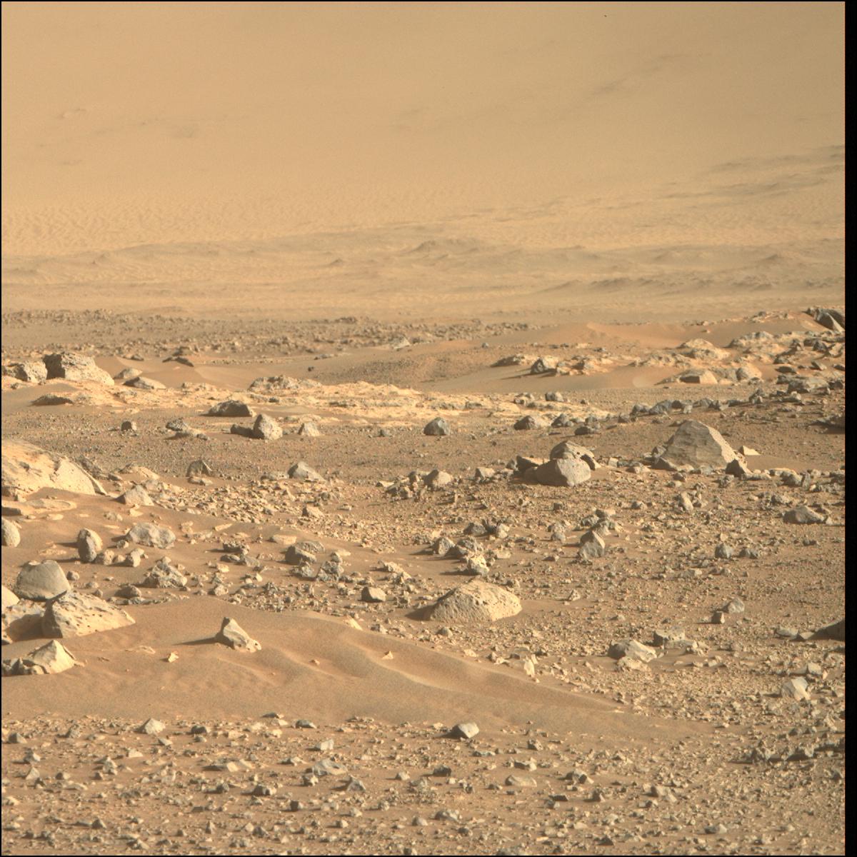 This image was taken by MCZ_RIGHT onboard NASA's Mars rover Perseverance on Sol 113