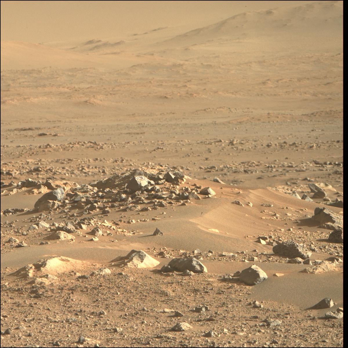 This image was taken by MCZ_RIGHT onboard NASA's Mars rover Perseverance on Sol 113