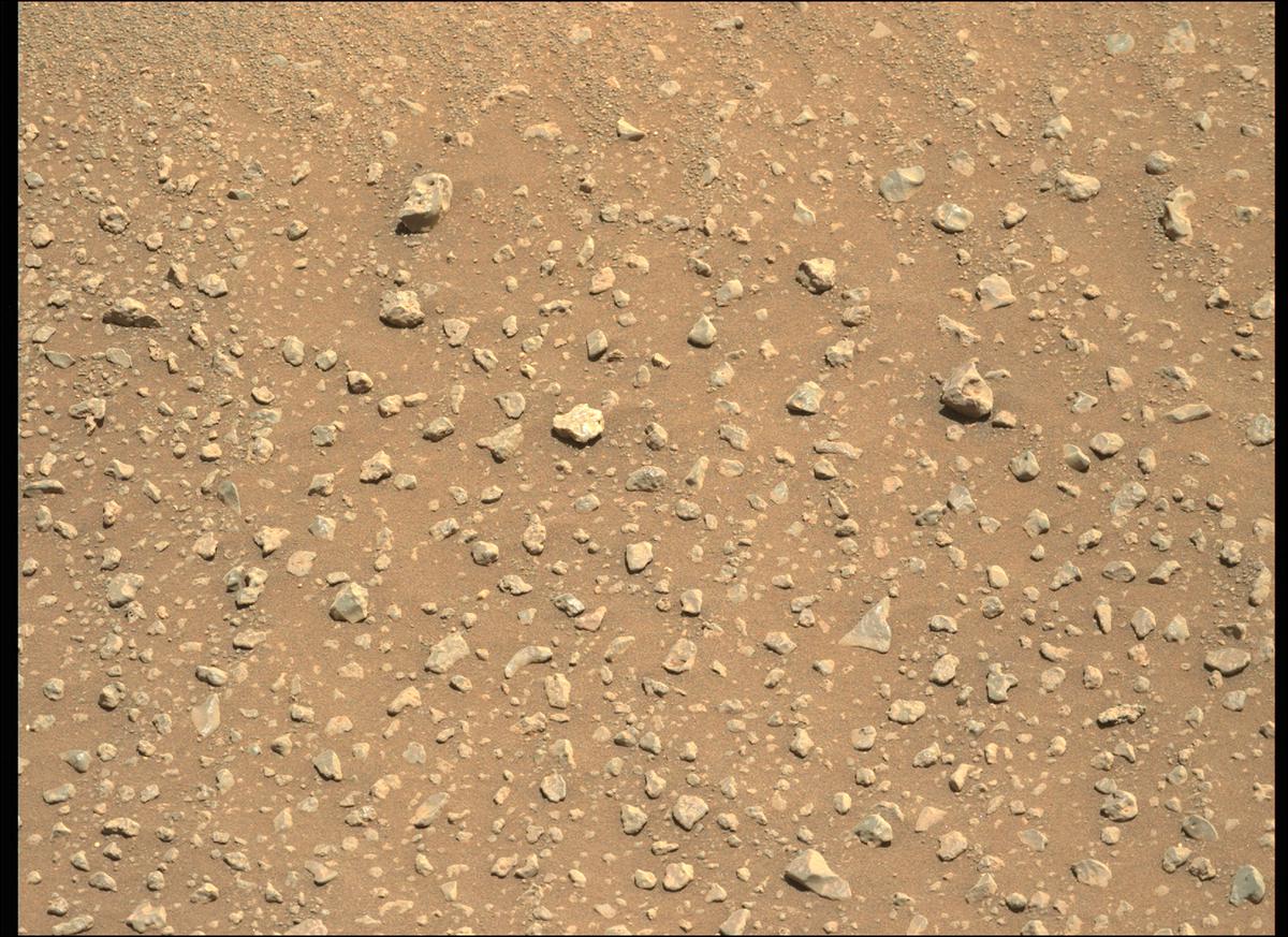 This image was taken by MCZ_LEFT onboard NASA's Mars rover Perseverance on Sol 114
