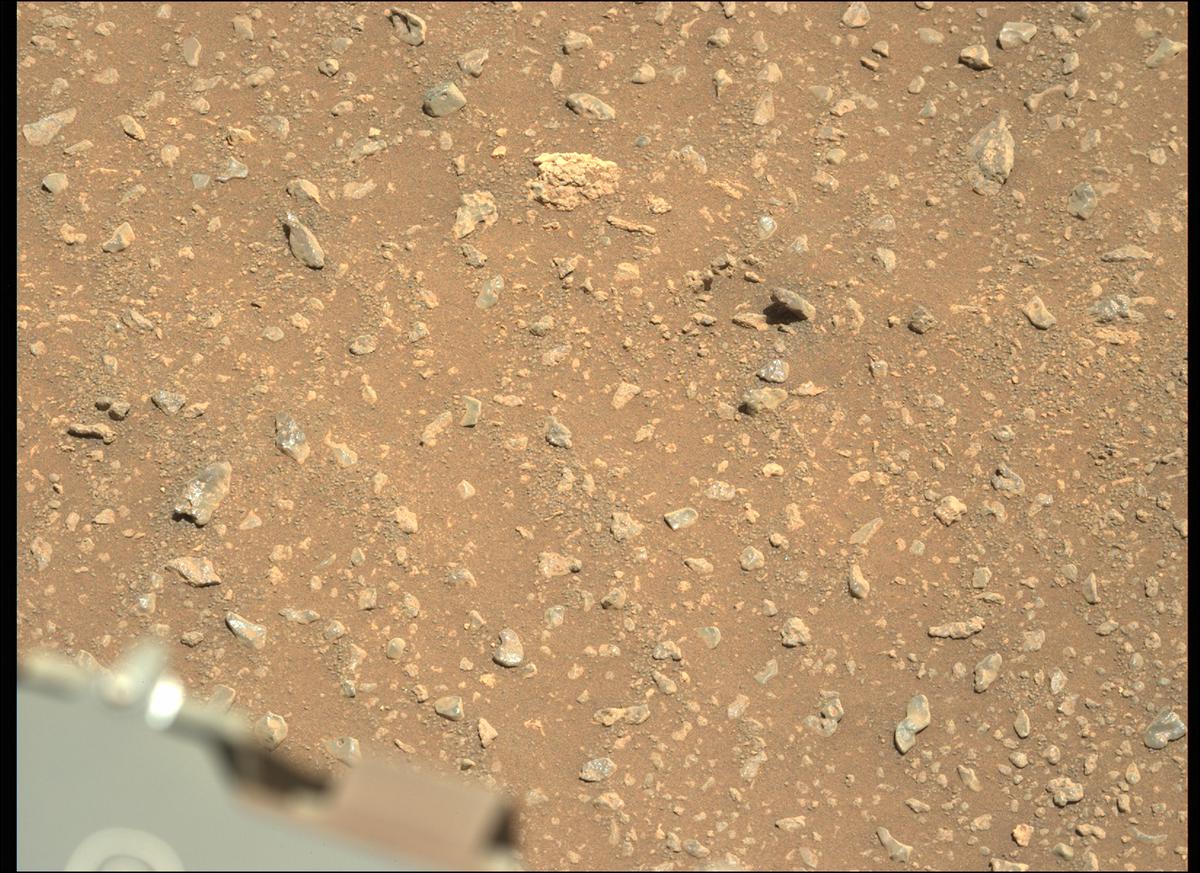 This image was taken by MCZ_LEFT onboard NASA's Mars rover Perseverance on Sol 114