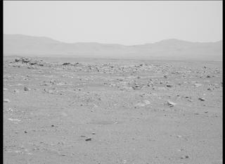 View image taken on Mars, Mars Perseverance Sol 114: Left Mastcam-Z Camera