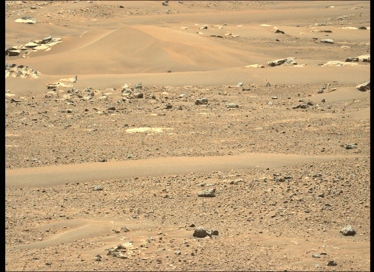 This image was taken by MCZ_LEFT onboard NASA's Mars rover Perseverance on Sol 114