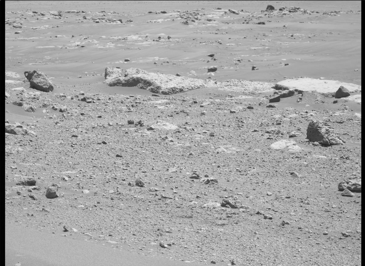 This image was taken by MCZ_LEFT onboard NASA's Mars rover Perseverance on Sol 114