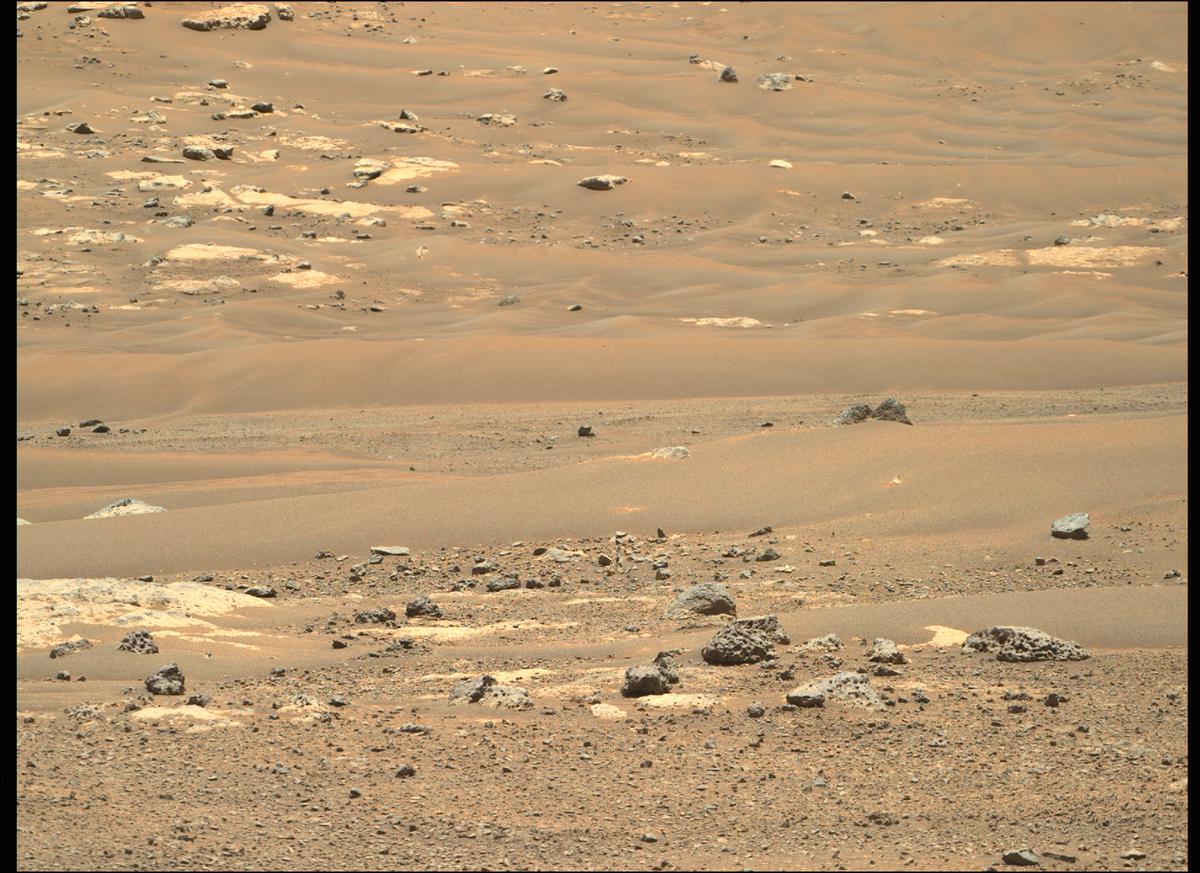 This image was taken by MCZ_RIGHT onboard NASA's Mars rover Perseverance on Sol 114