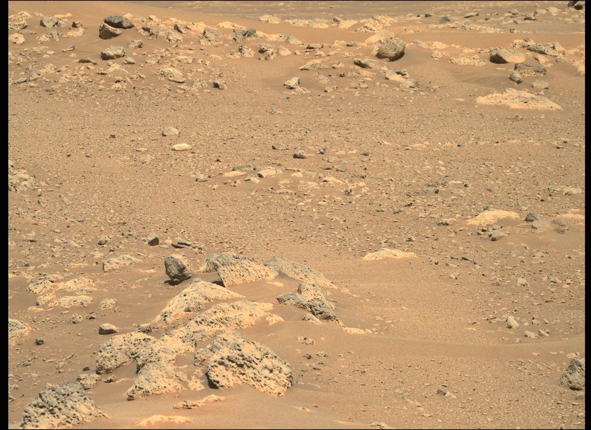 This image was taken by MCZ_RIGHT onboard NASA's Mars rover Perseverance on Sol 114
