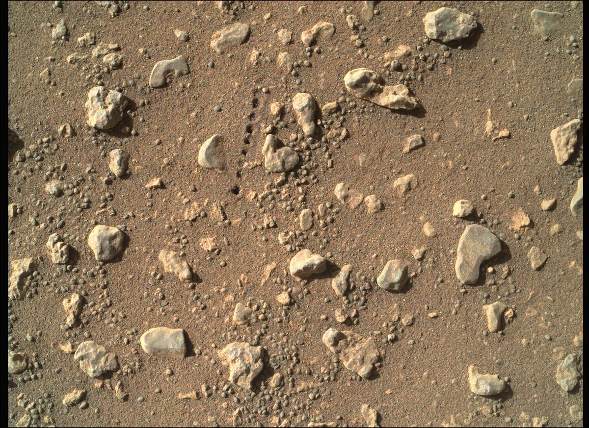 This image was taken by SHERLOC_WATSON onboard NASA's Mars rover Perseverance on Sol 115