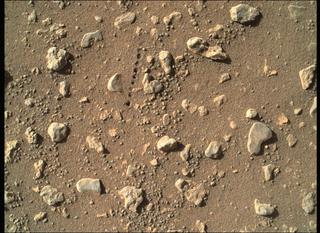 View image taken on Mars, Mars Perseverance Sol 115: WATSON Camera 