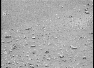 View image taken on Mars, Mars Perseverance Sol 115: Left Mastcam-Z Camera