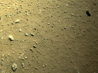 View image taken on Mars, Mars Perseverance Sol 116: Right Navigation Camera (Navcam)