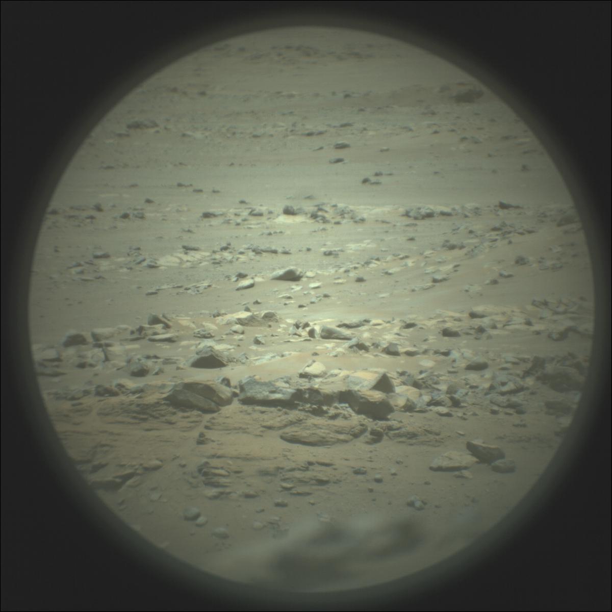 This image was taken by SUPERCAM_RMI onboard NASA's Mars rover Perseverance on Sol 116