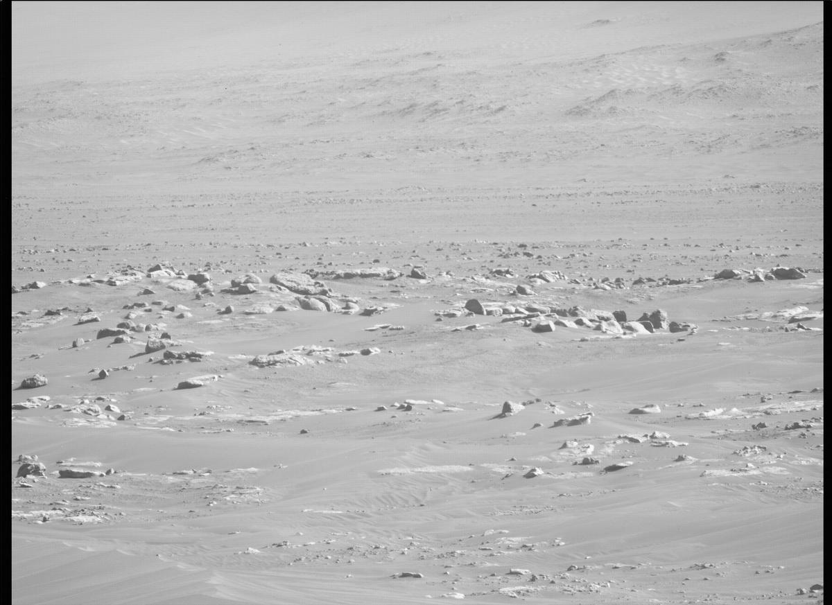This image was taken by MCZ_LEFT onboard NASA's Mars rover Perseverance on Sol 116