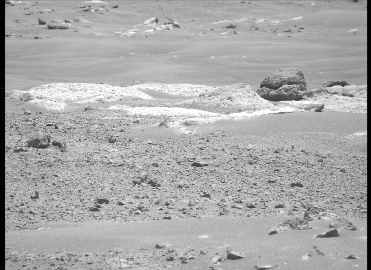 This image was taken by MCZ_LEFT onboard NASA's Mars rover Perseverance on Sol 116