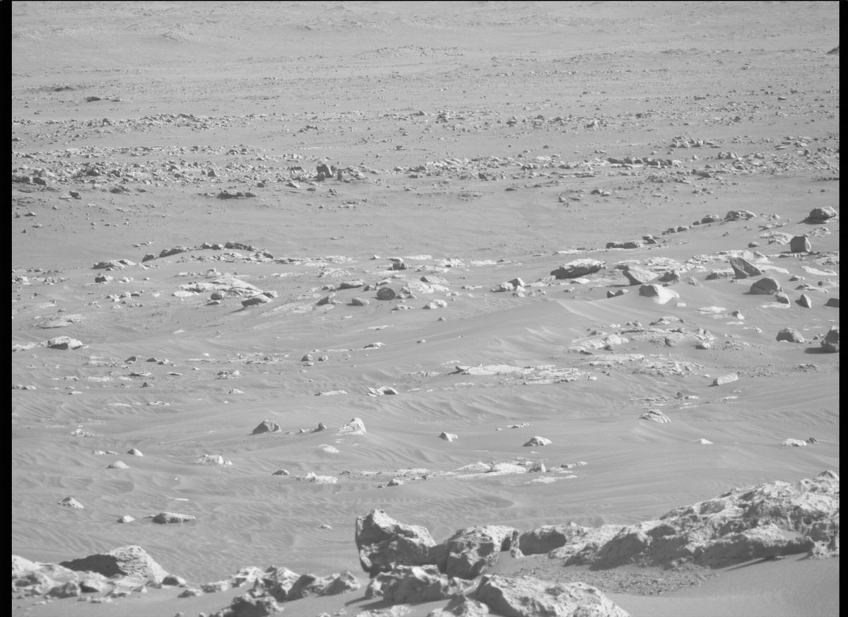 This image was taken by MCZ_RIGHT onboard NASA's Mars rover Perseverance on Sol 116
