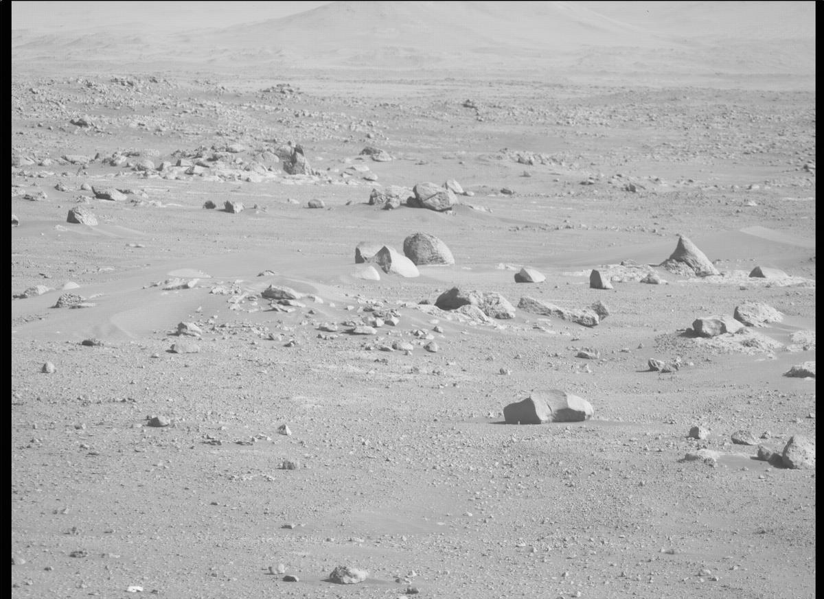 This image was taken by MCZ_RIGHT onboard NASA's Mars rover Perseverance on Sol 116