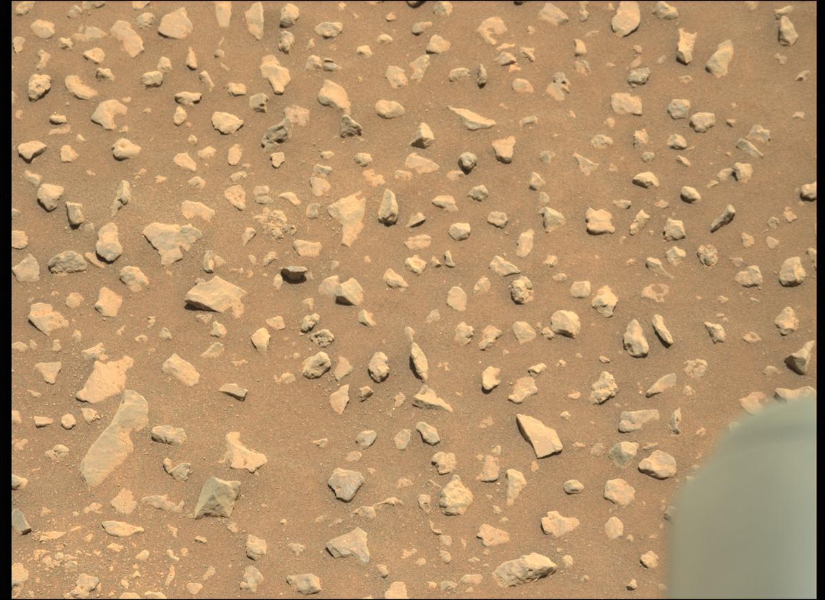 This image was taken by MCZ_LEFT onboard NASA's Mars rover Perseverance on Sol 117