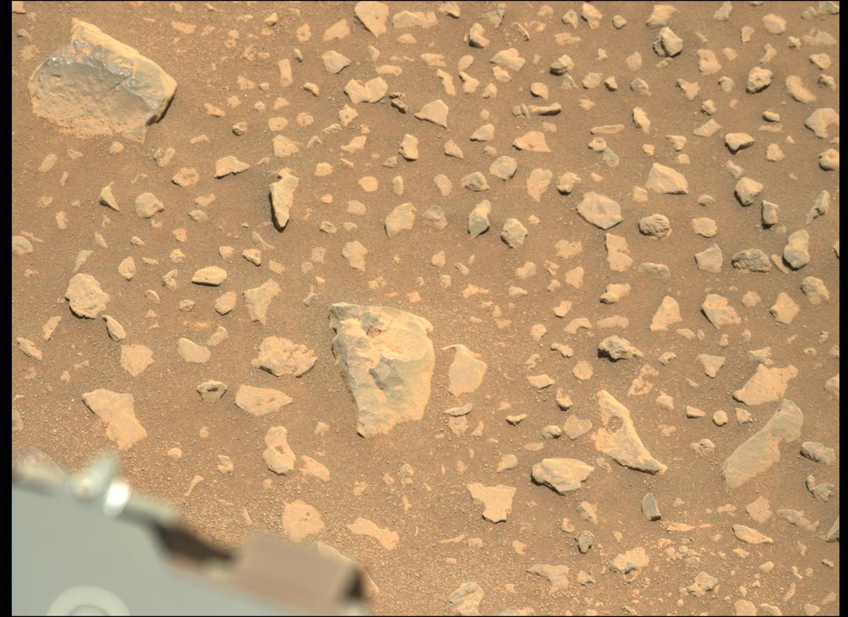 This image was taken by MCZ_LEFT onboard NASA's Mars rover Perseverance on Sol 117