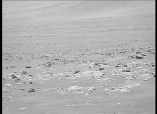 View image taken on Mars, Mars Perseverance Sol 117: Right Mastcam-Z Camera