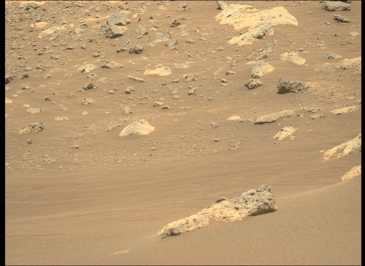 This image was taken by MCZ_LEFT onboard NASA's Mars rover Perseverance on Sol 119