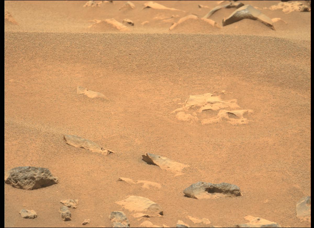 This image was taken by MCZ_LEFT onboard NASA's Mars rover Perseverance on Sol 119