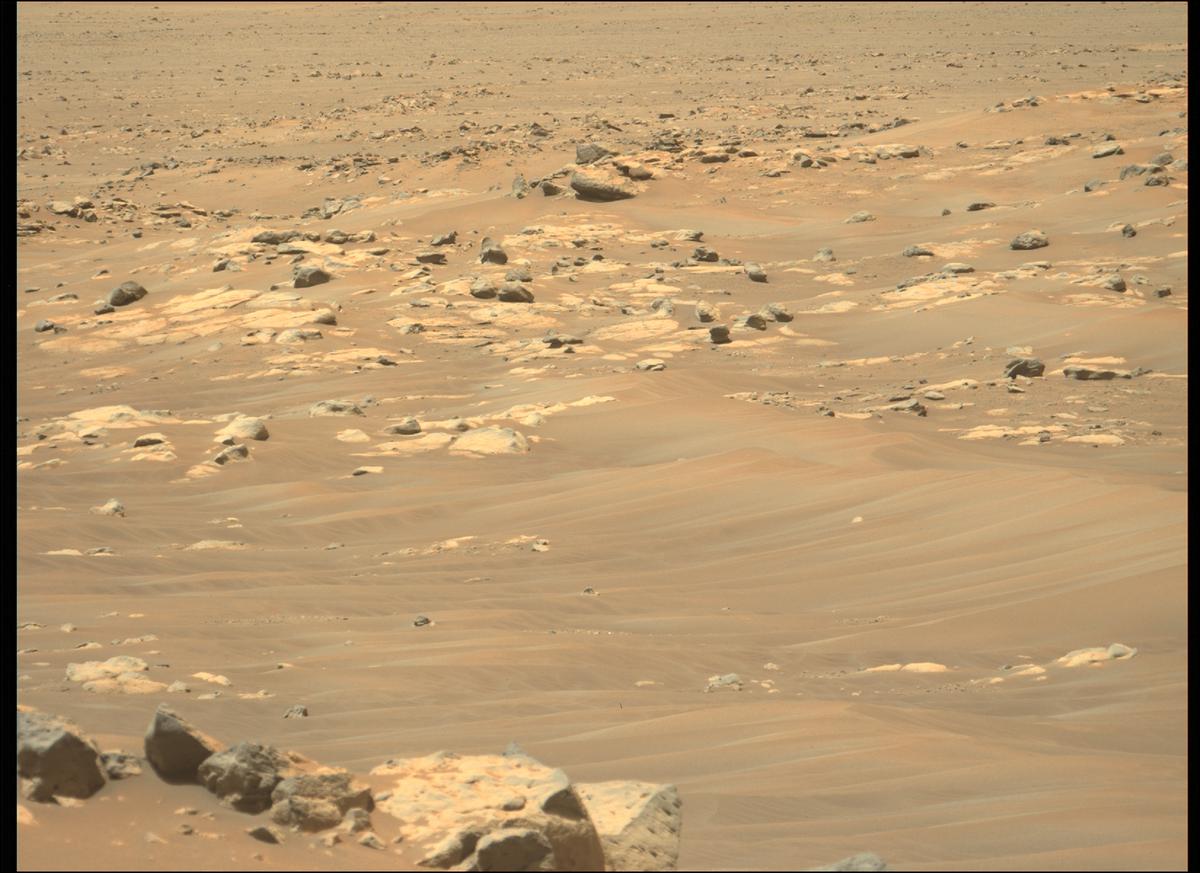 This image was taken by MCZ_LEFT onboard NASA's Mars rover Perseverance on Sol 122