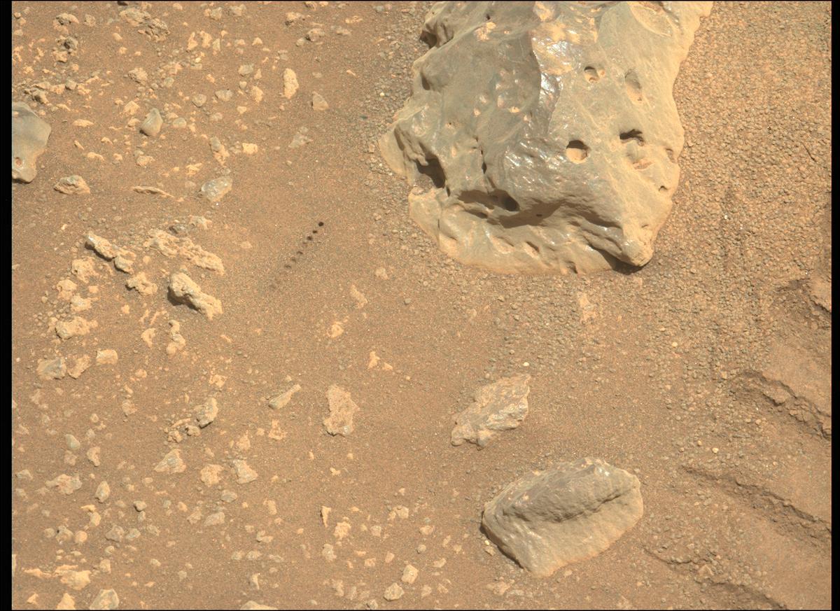 This image was taken by MCZ_LEFT onboard NASA's Mars rover Perseverance on Sol 123