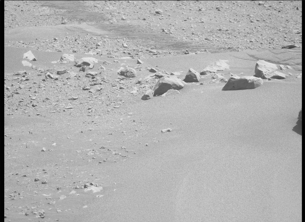 This image was taken by MCZ_LEFT onboard NASA's Mars rover Perseverance on Sol 123