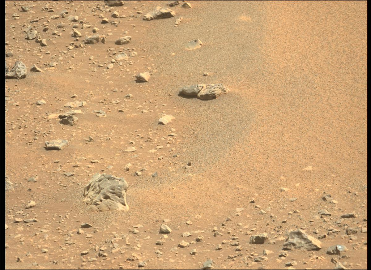 This image was taken by MCZ_LEFT onboard NASA's Mars rover Perseverance on Sol 123