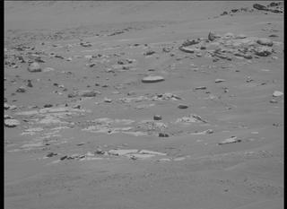 View image taken on Mars, Mars Perseverance Sol 123: Left Mastcam-Z Camera