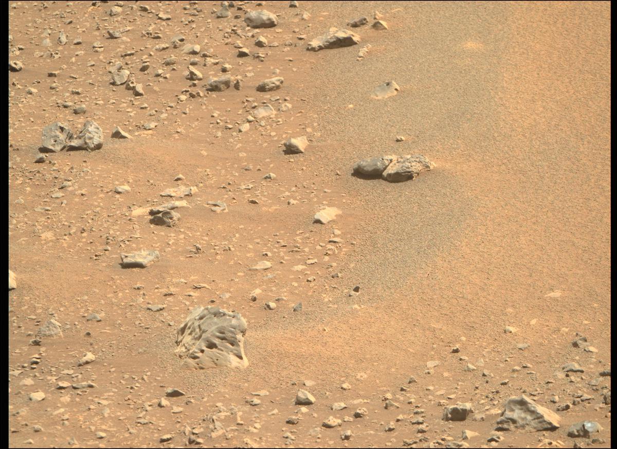This image was taken by MCZ_RIGHT onboard NASA's Mars rover Perseverance on Sol 123