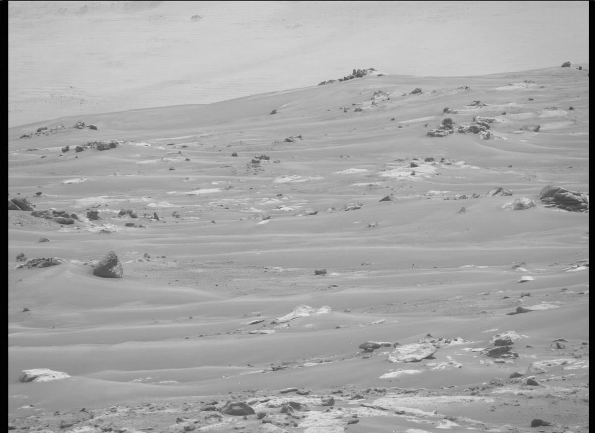 This image was taken by MCZ_RIGHT onboard NASA's Mars rover Perseverance on Sol 123