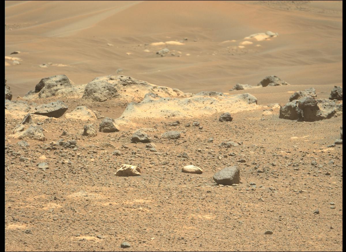 This image was taken by MCZ_LEFT onboard NASA's Mars rover Perseverance on Sol 124