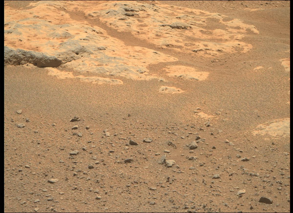 This image was taken by MCZ_RIGHT onboard NASA's Mars rover Perseverance on Sol 124