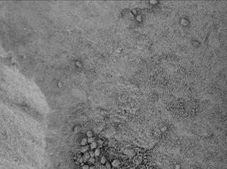 View image taken on Mars, Mars Perseverance Sol 125: WATSON Camera 