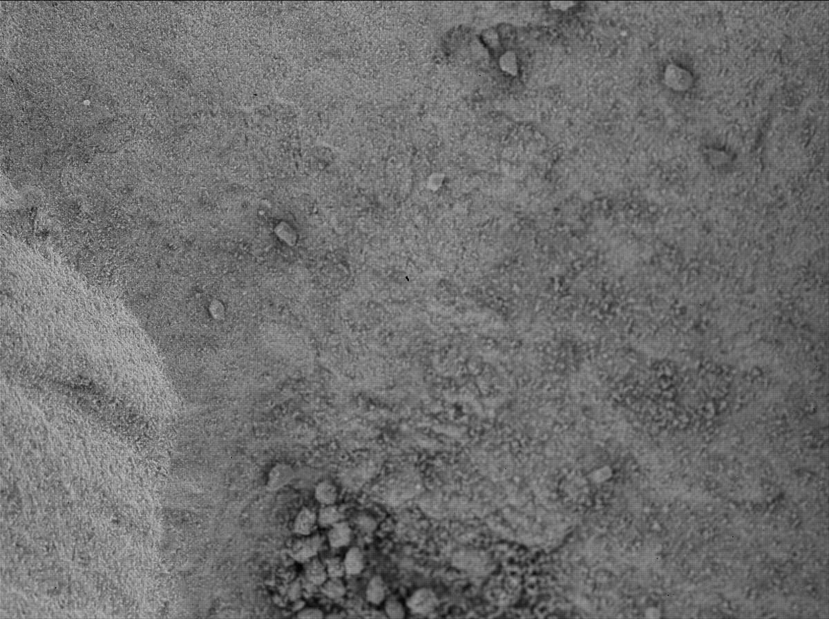 This image was taken by SHERLOC_WATSON onboard NASA's Mars rover Perseverance on Sol 125