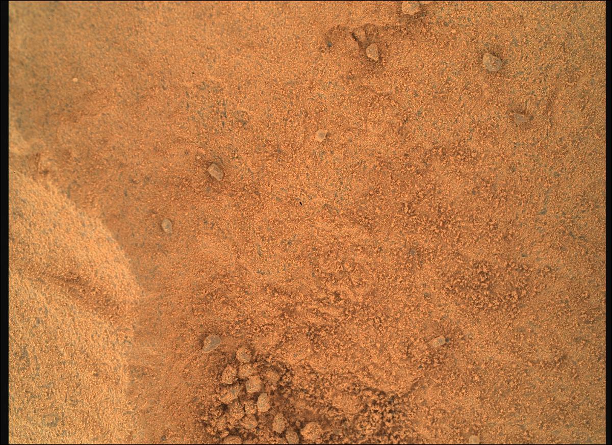 This image was taken by SHERLOC_WATSON onboard NASA's Mars rover Perseverance on Sol 125