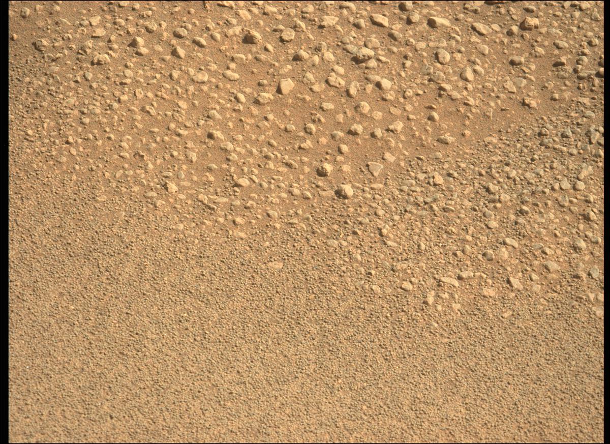 This image was taken by MCZ_LEFT onboard NASA's Mars rover Perseverance on Sol 125