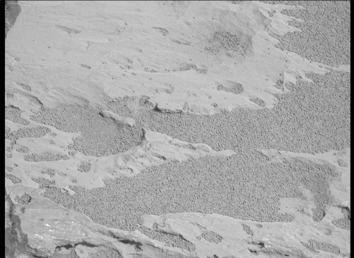 This image was taken by MCZ_LEFT onboard NASA's Mars rover Perseverance on Sol 125